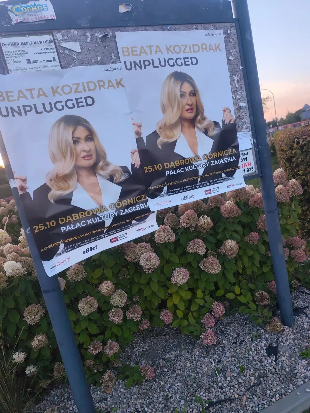 Beata Kozidrak Unplugged - plakatowanie w Dąbrowie Górniczej